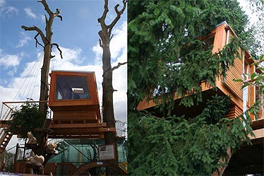 baumraum: Baumhäuser in Deutschland und international