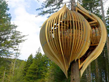 Treehouse - Baumhaus